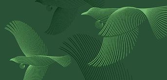 Green Innovation Award